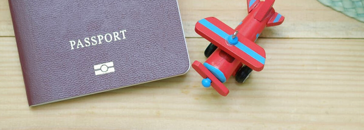 Visa Processing - idealconsultancy.edu.np