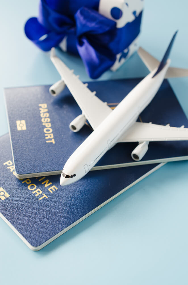 Visa processing03 - idealconsultancy.edu.np